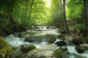 Summer Solstice Ceremonies